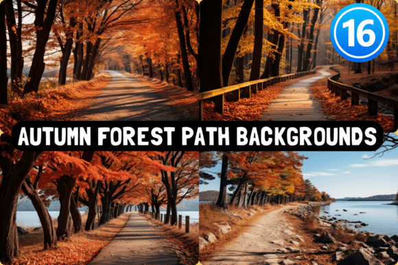 Autumn Forest Path Backgrounds: Nature's Palette for Your Projects